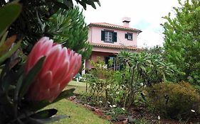 Quinta Santo Antonio Da Serra